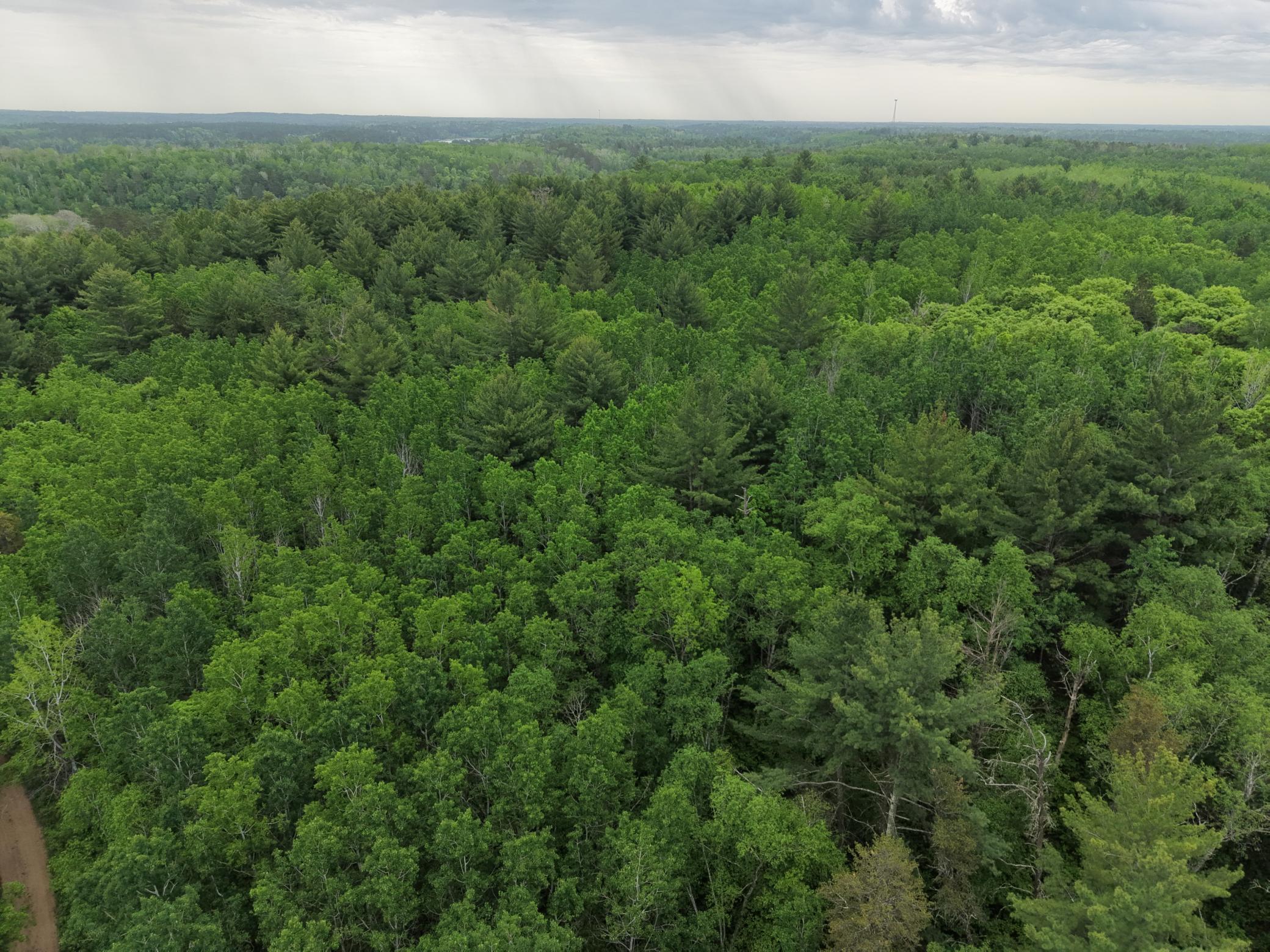 land for sale at TBD 290th Street in Park Rapids, MN (photo 10 of 40)