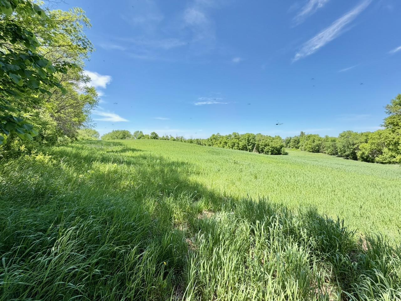 1986 single family home for sale at 44662 County Highway 31 in Pelican Rapids, MN — 4 bed, 3 bath (photo 113 of 117)