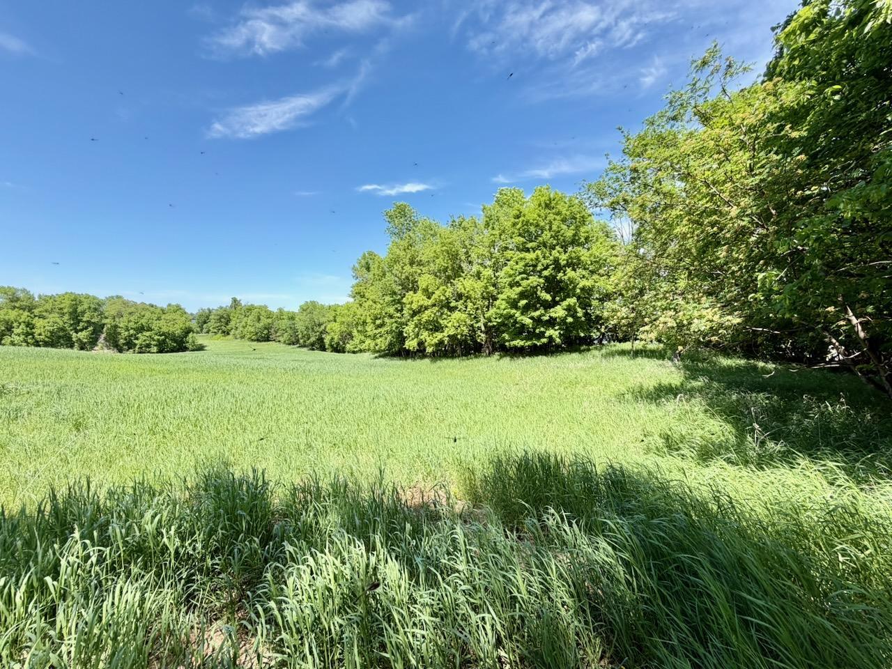 1986 single family home for sale at 44662 County Highway 31 in Pelican Rapids, MN — 4 bed, 3 bath (photo 114 of 117)
