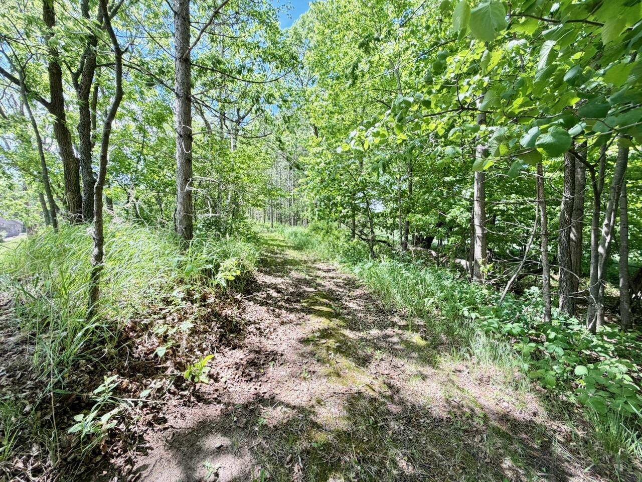 1986 single family home for sale at 44662 County Highway 31 in Pelican Rapids, MN — 4 bed, 3 bath (photo 6 of 7)