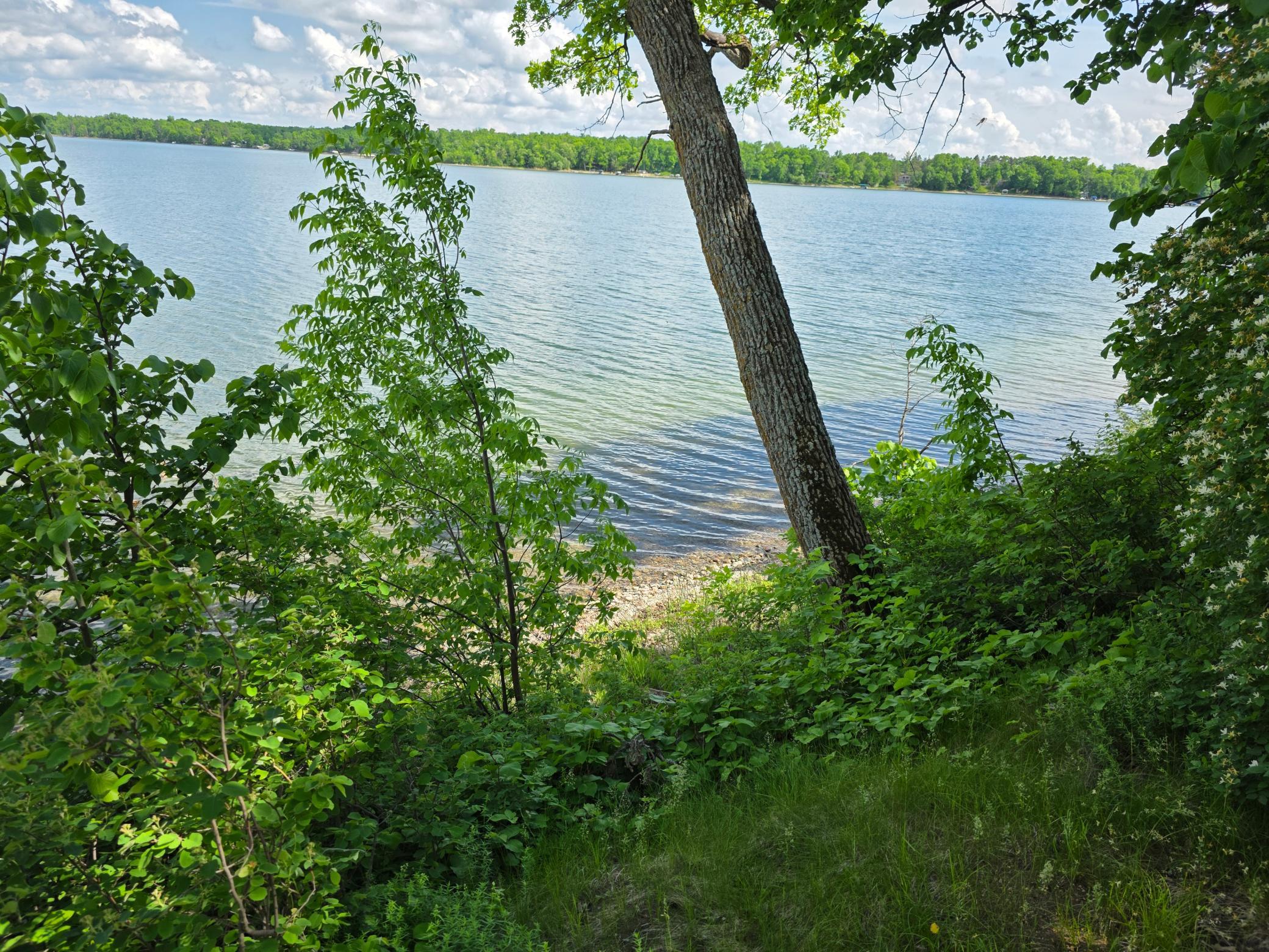 1977 single family home for sale at 20885 Leona Beach Road in Rochert, MN — 3 bed, 1 bath (photo 25 of 39)