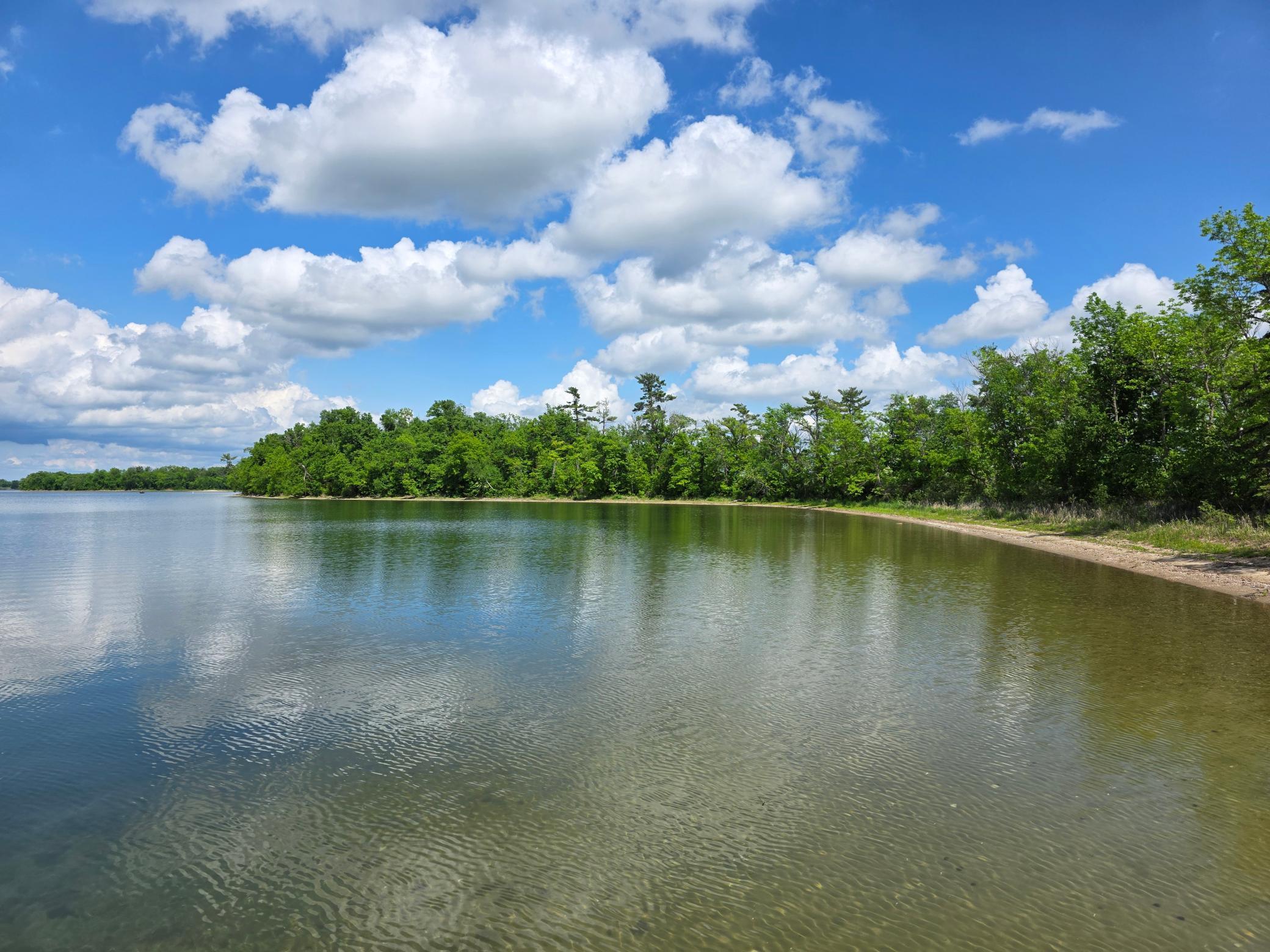 1977 single family home for sale at 20885 Leona Beach Road in Rochert, MN — 3 bed, 1 bath (photo 8 of 39)