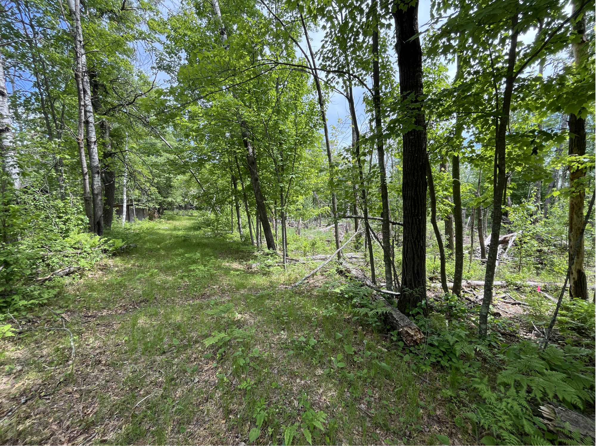 13384 Sorenson Lake Road, Merrifield MN 56465 - Photo 26 of 45