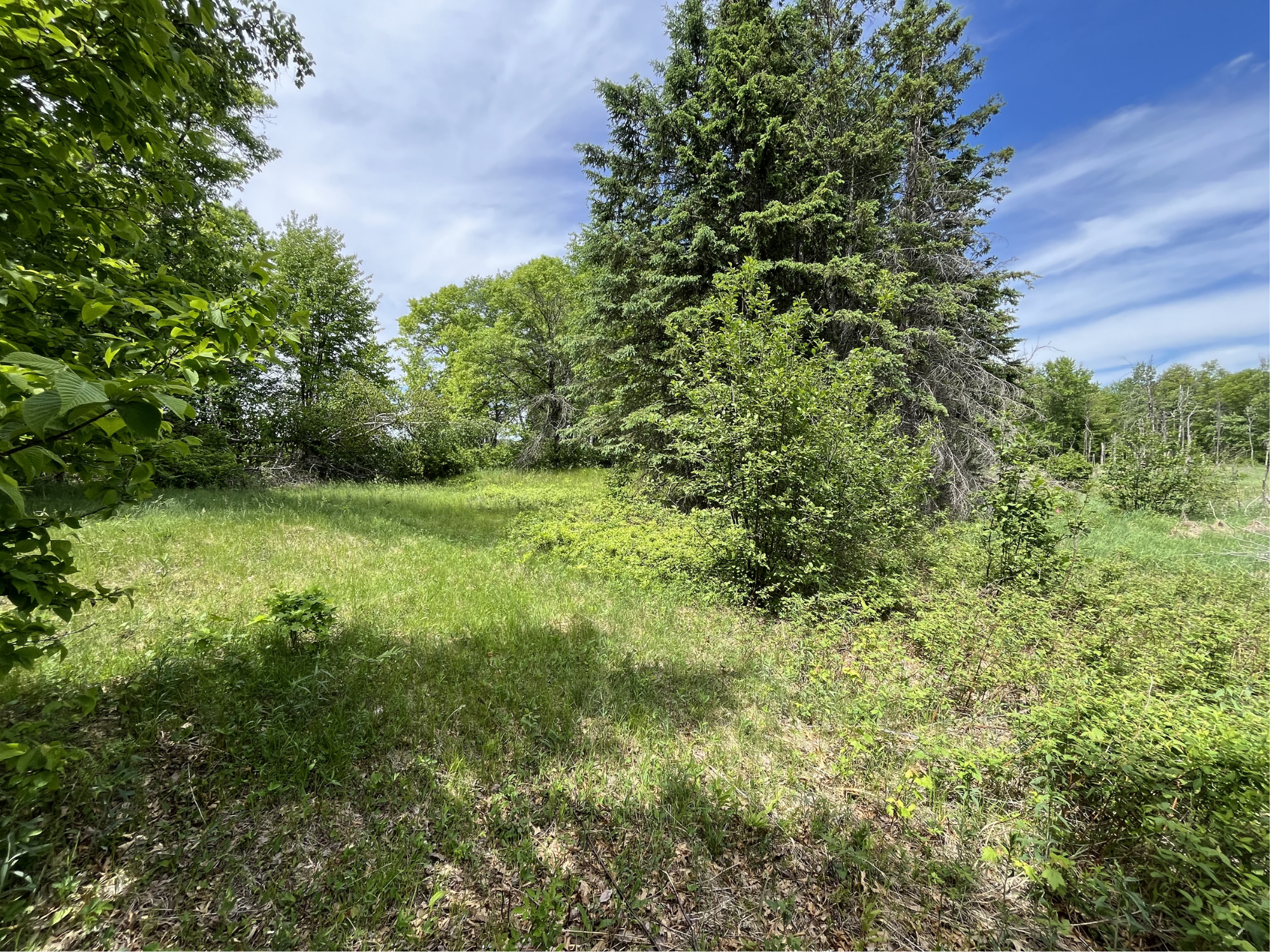 13384 Sorenson Lake Road, Merrifield MN 56465 - Photo 30 of 45