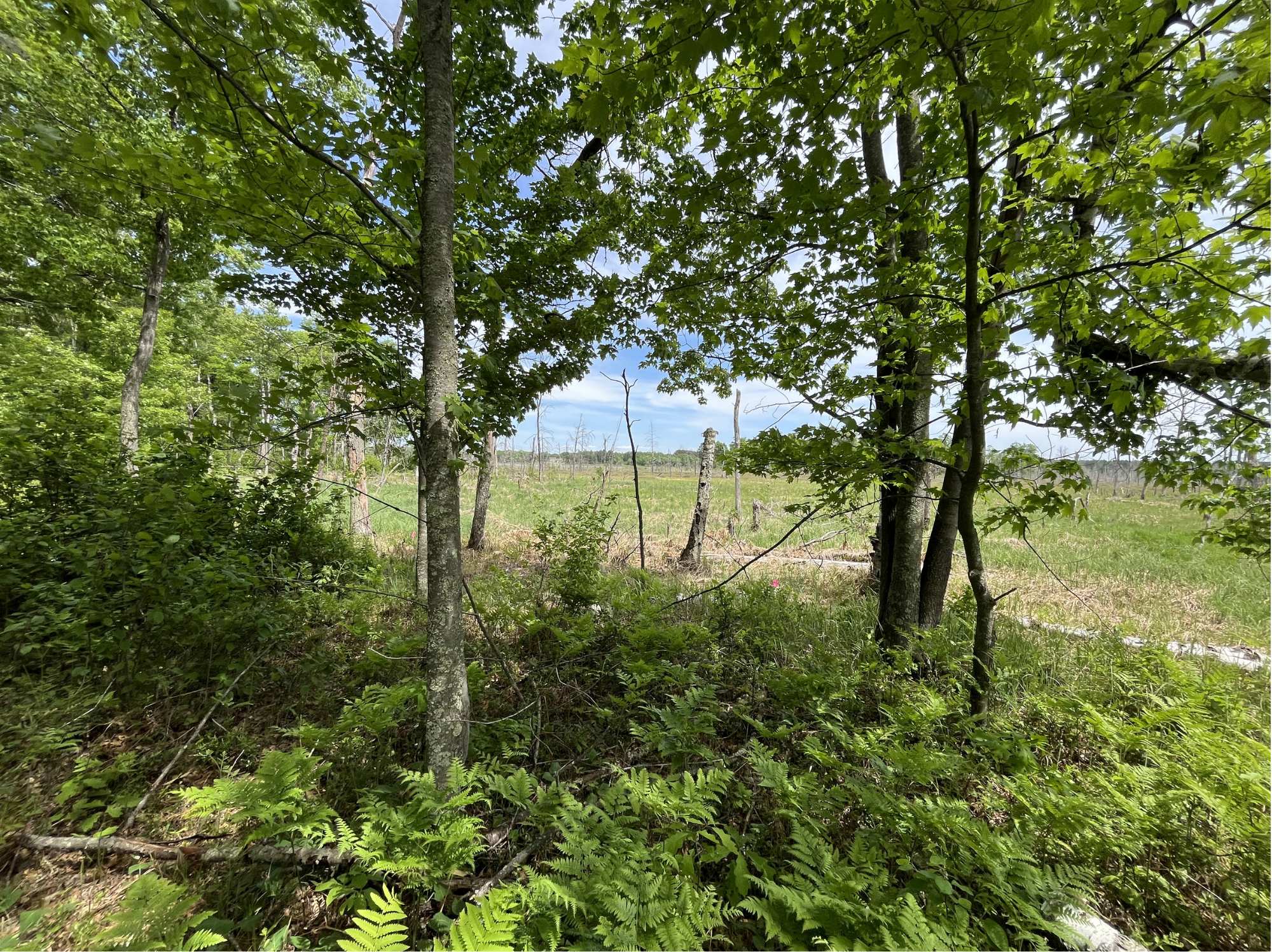 13384 Sorenson Lake Road, Merrifield MN 56465 - Photo 33 of 45