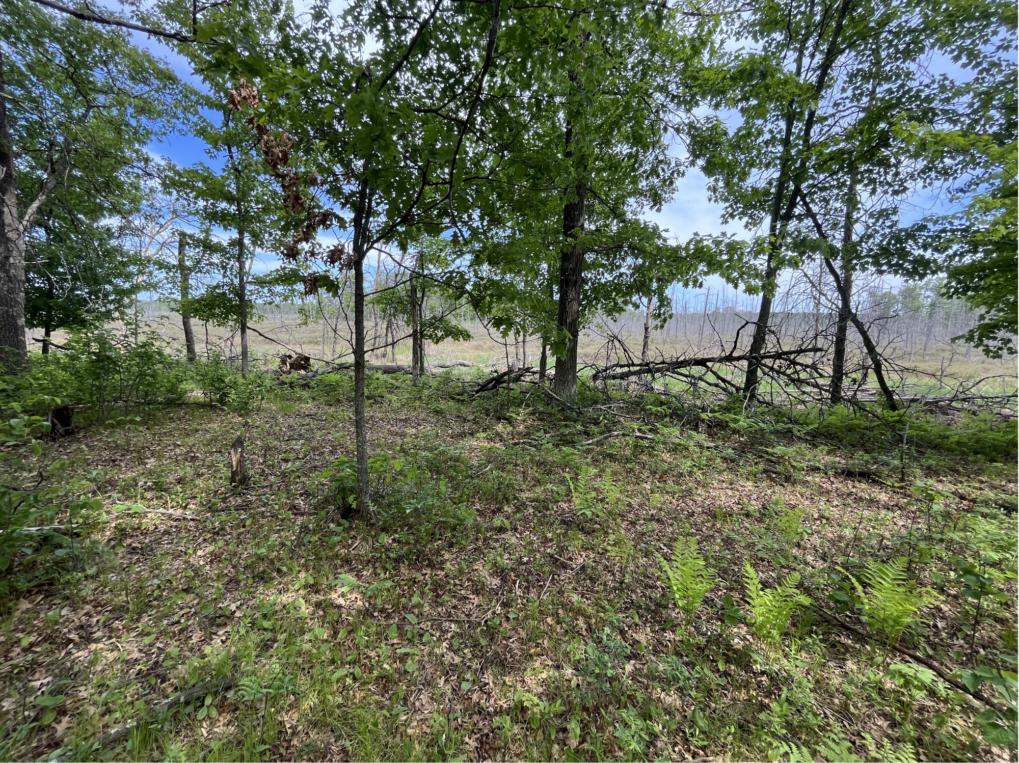 13384 Sorenson Lake Road, Merrifield MN 56465 - Photo 34 of 45