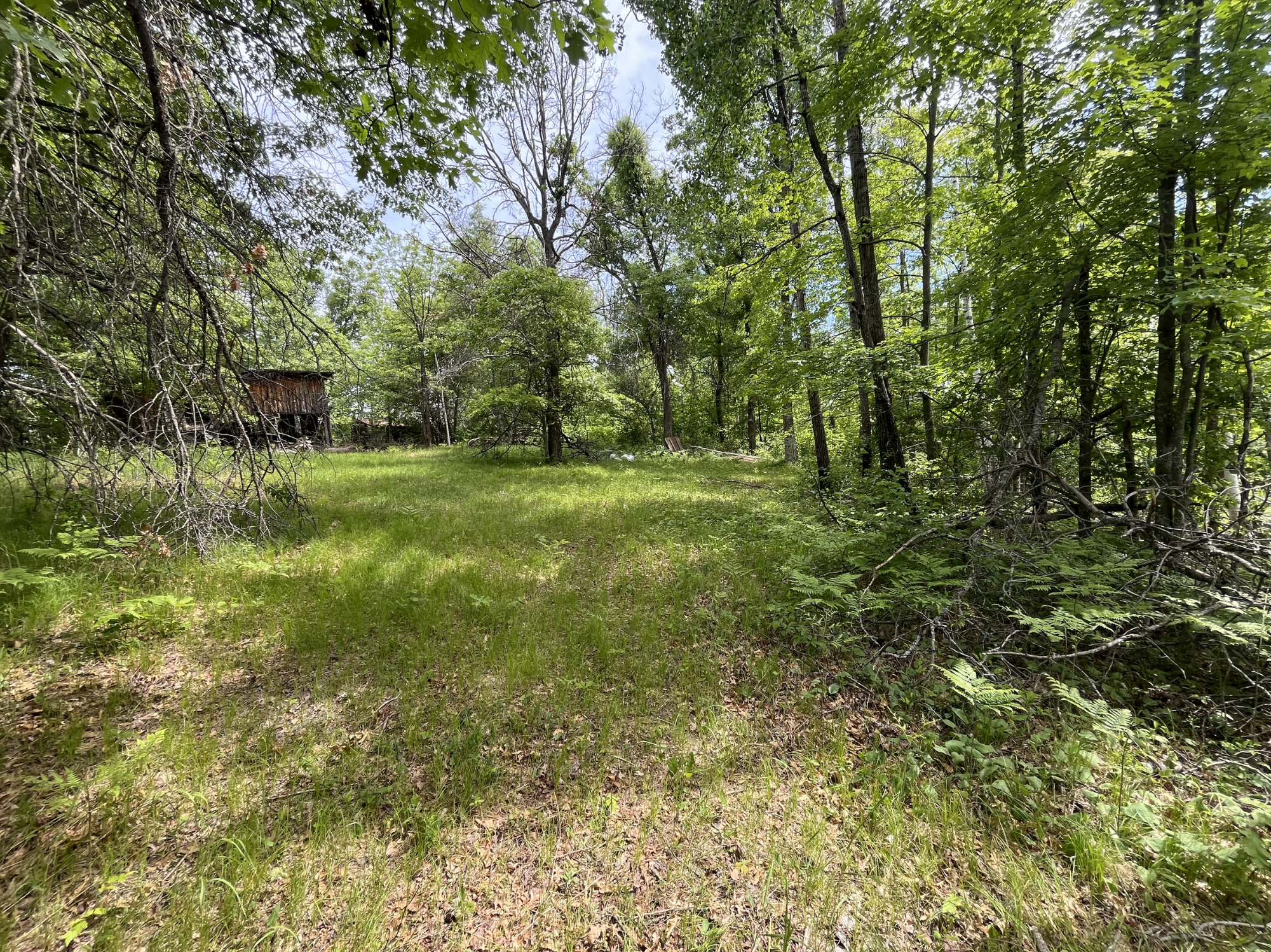 13384 Sorenson Lake Road, Merrifield MN 56465 - Photo 38 of 45