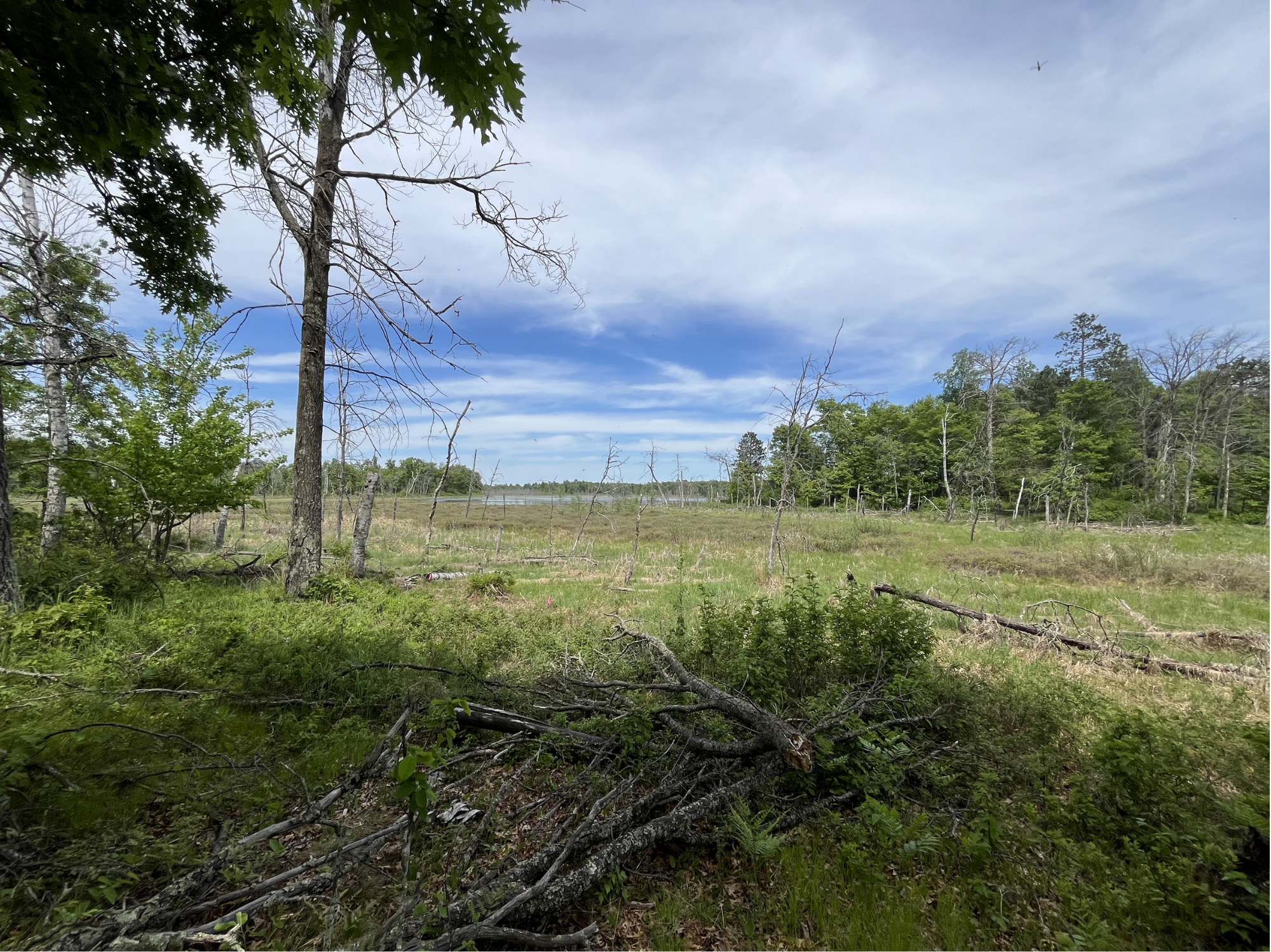 13384 Sorenson Lake Road, Merrifield MN 56465 - Photo 42 of 45