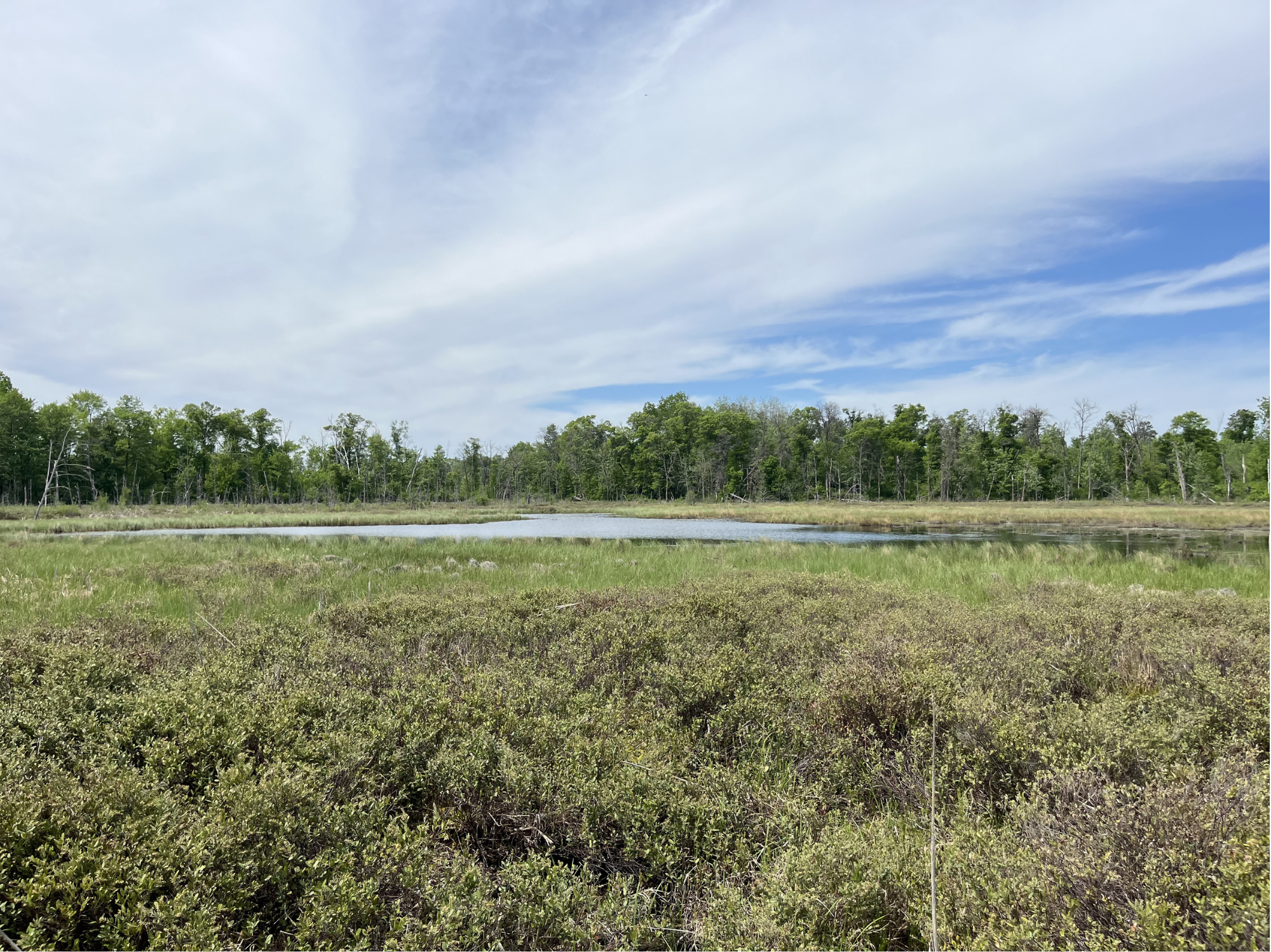 13384 Sorenson Lake Road, Merrifield MN 56465 - Photo 45 of 45