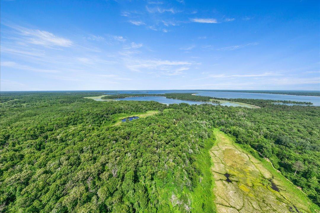 TBD Lot C Hidden Pond Lane, Pequot Lakes MN 56472 - Photo 12 of 20