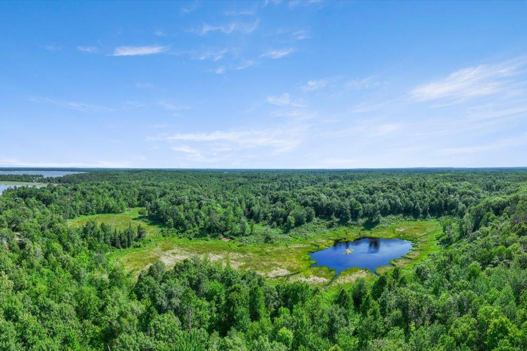 TBD Lot C Hidden Pond Lane, Pequot Lakes MN 56472 - Photo 14 of 20