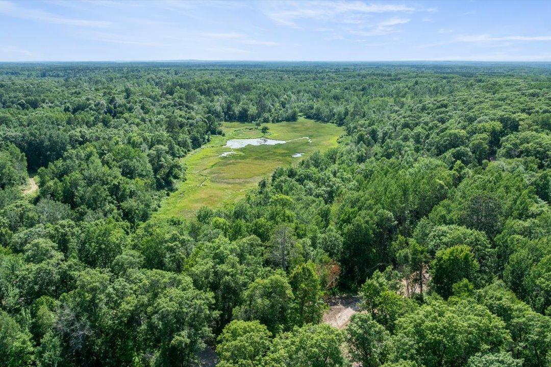 TBD Lot C Hidden Pond Lane, Pequot Lakes MN 56472 - Photo 17 of 20