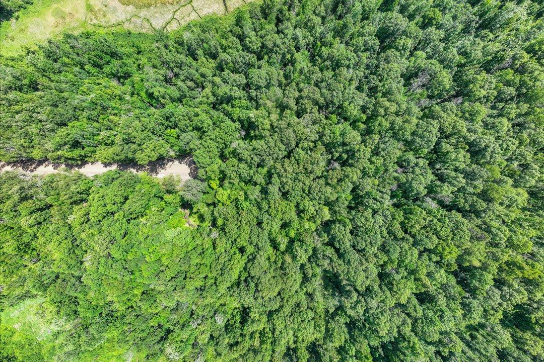 TBD Lot C Hidden Pond Lane, Pequot Lakes MN 56472 - Photo 6 of 20