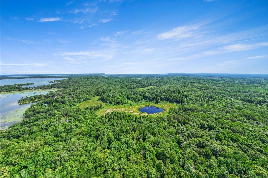 TBD Lot C Hidden Pond Lane, Pequot Lakes MN 56472 - Photo 8 of 20