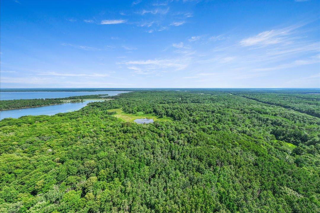 TBD Lot C Hidden Pond Lane, Pequot Lakes MN 56472 - Photo 9 of 20
