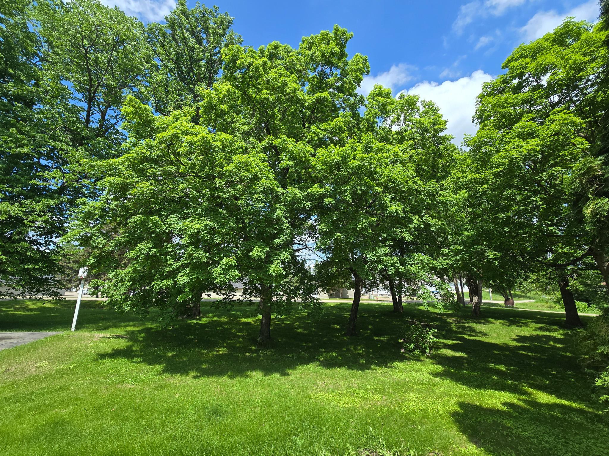 1964 single family home for sale at 321 E Scharf Avenue in Vergas, MN — 3 bed, 2 bath (photo 15 of 21)