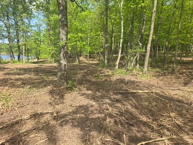 land for sale at Lot 3 County Road 30 in Crosby, MN (photo 5 of 10)
