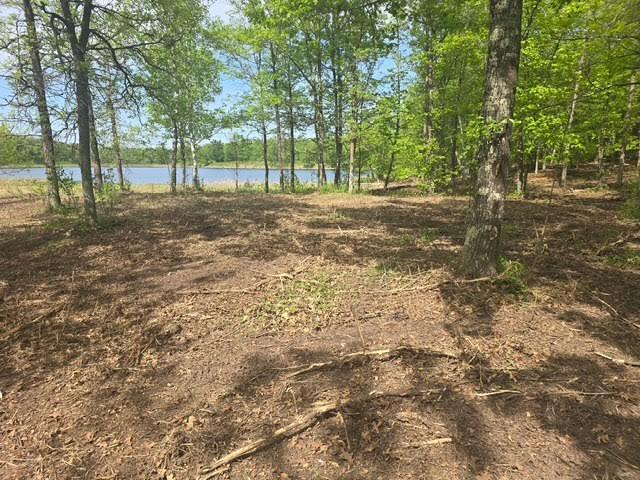 land for sale at Lot 4 County Road 30 in Crosby, MN (photo 3 of 10)