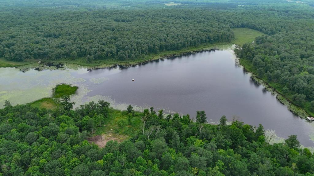 land for sale at Lot 4 County Road 30 in Crosby, MN (photo 6 of 10)