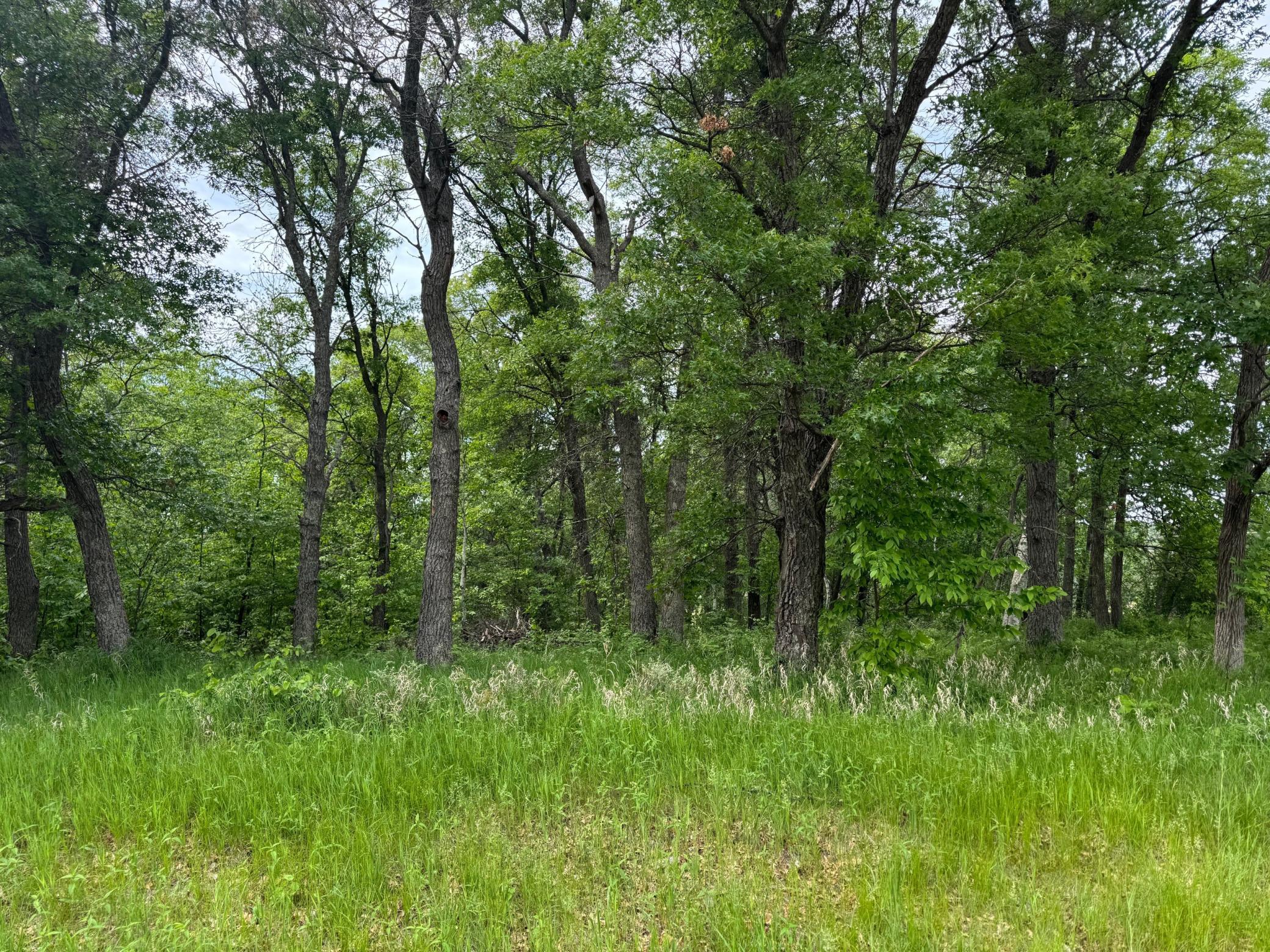 TBD Pawnee, Breezy Point MN 56472 - Photo 2 of 3