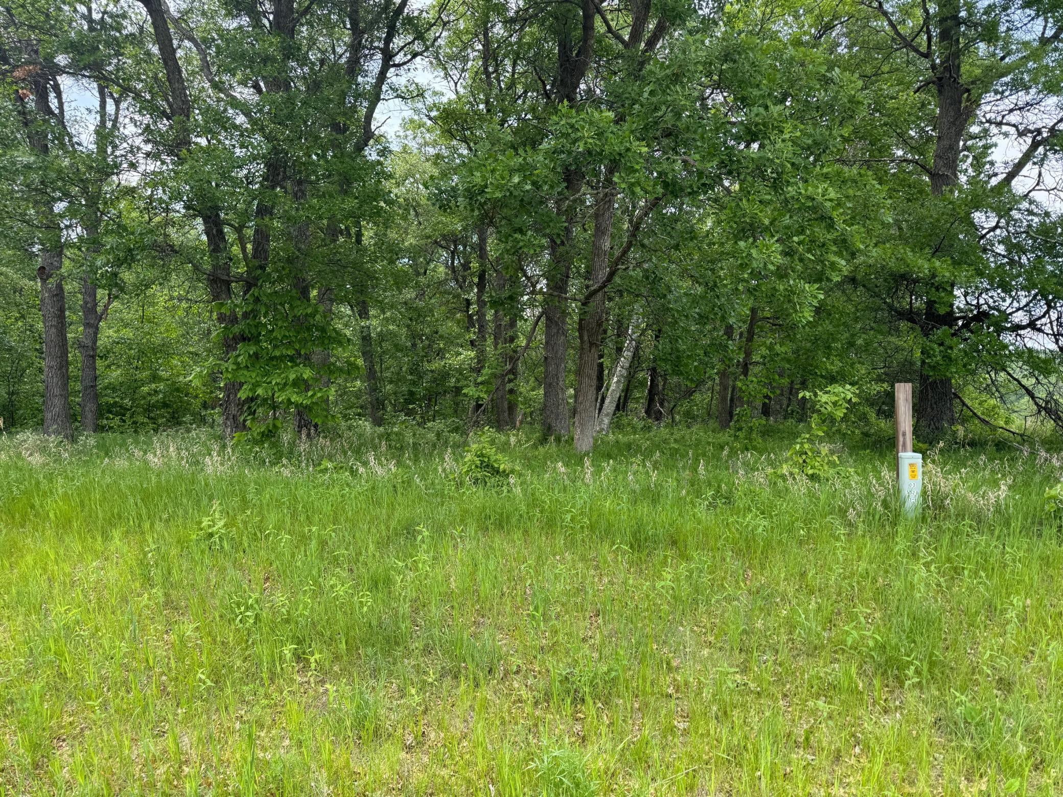 TBD Pawnee, Breezy Point MN 56472 - Photo 3 of 3
