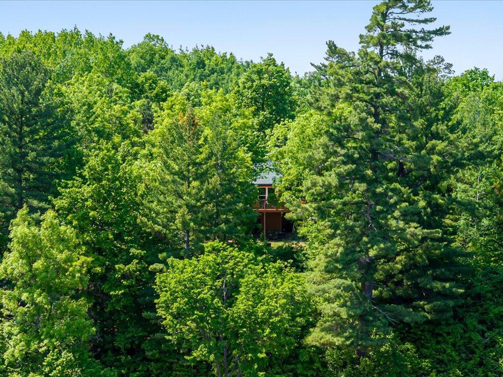 7298 Sweetbrier Trail NW, Walker MN 56433 - Photo 10 of 38