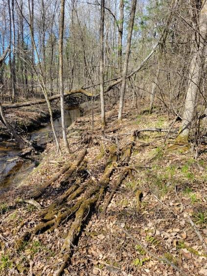 land for sale at TBD 695th Avenue in Roosevelt, MN (photo 3 of 20)