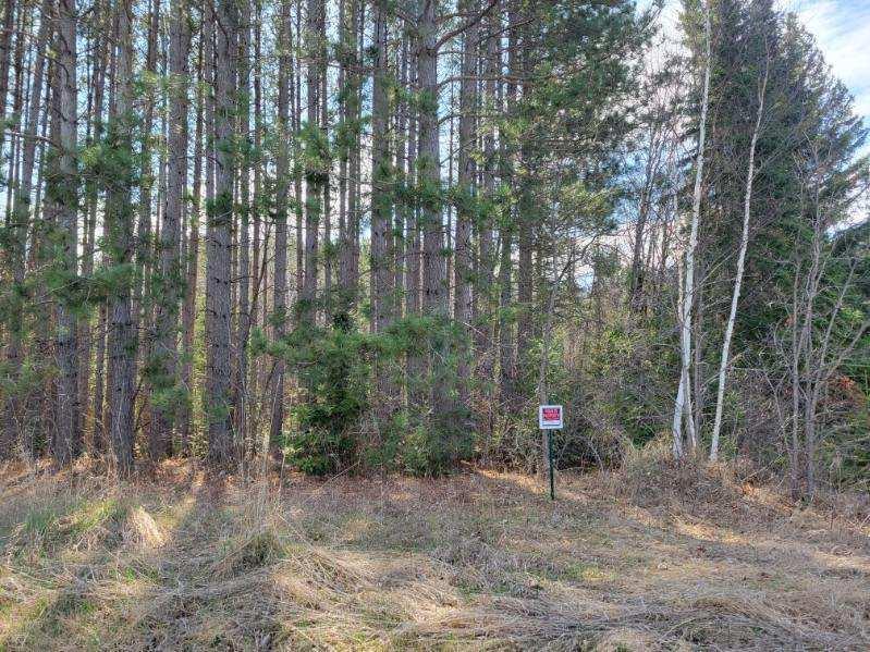 land for sale at TBD 695th Avenue in Roosevelt, MN (photo 7 of 20)