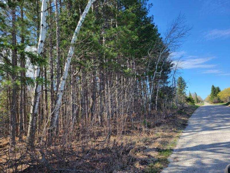 land for sale at TBD 695th Avenue in Roosevelt, MN (photo 9 of 20)