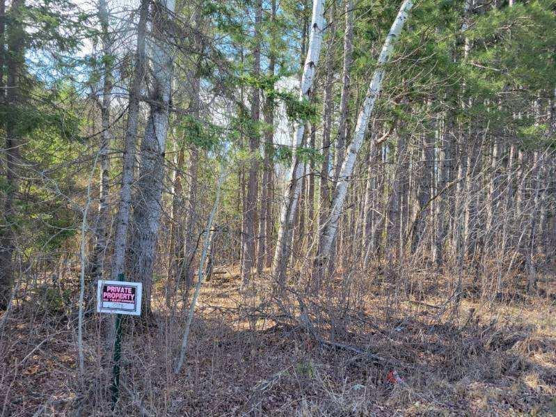 land for sale at TBD 695th Avenue in Roosevelt, MN (photo 10 of 20)