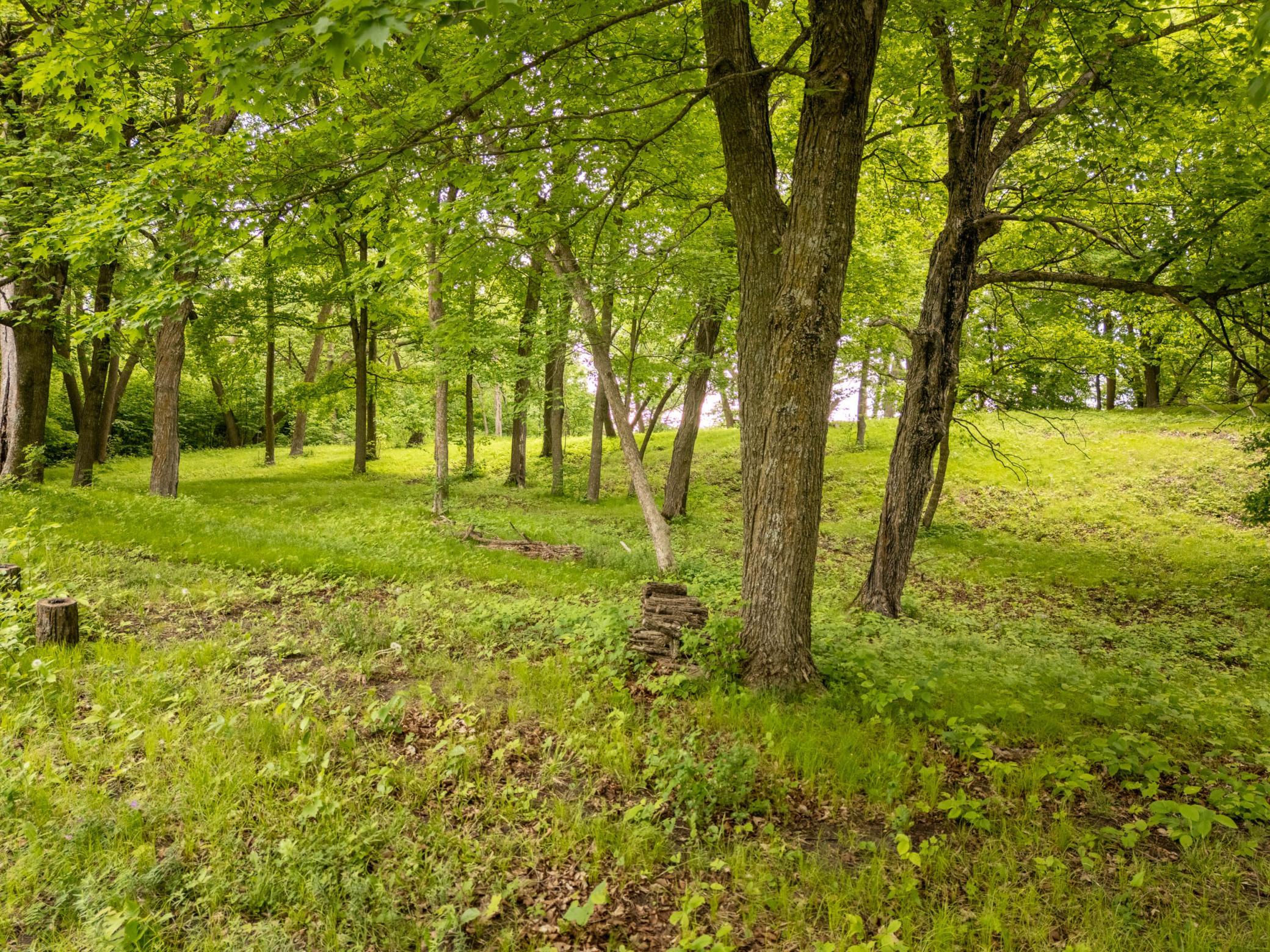 15988 Solitude Court NW, Evansville MN 56326 - Photo 13 of 23