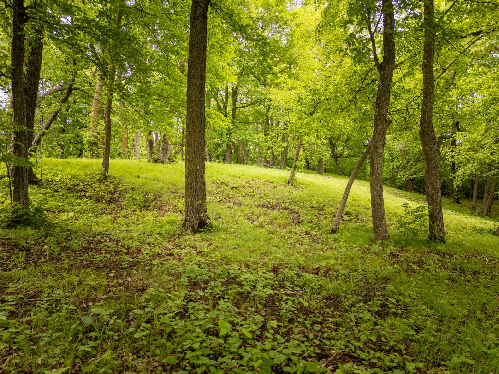 15988 Solitude Court NW, Evansville MN 56326 - Photo 18 of 23