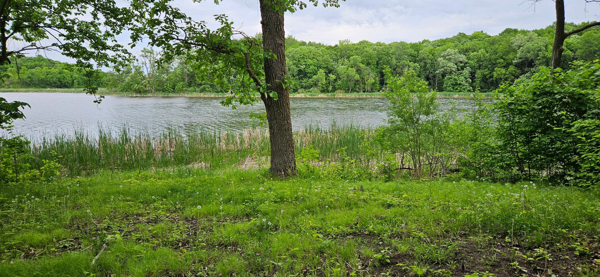15988 Solitude Court NW, Evansville MN 56326 - Photo 19 of 23