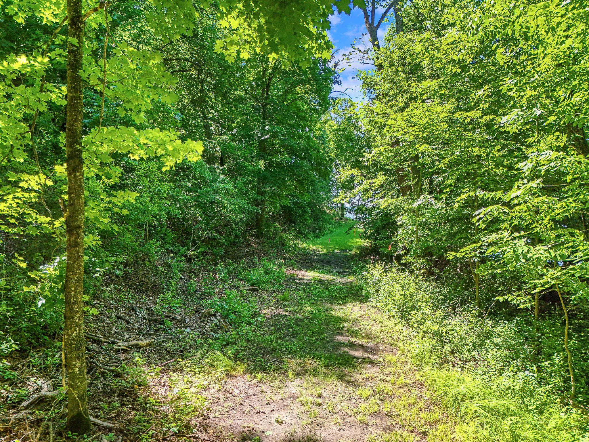 48410 Squaw Point Trl, Perham MN 56573 - Photo 6 of 78