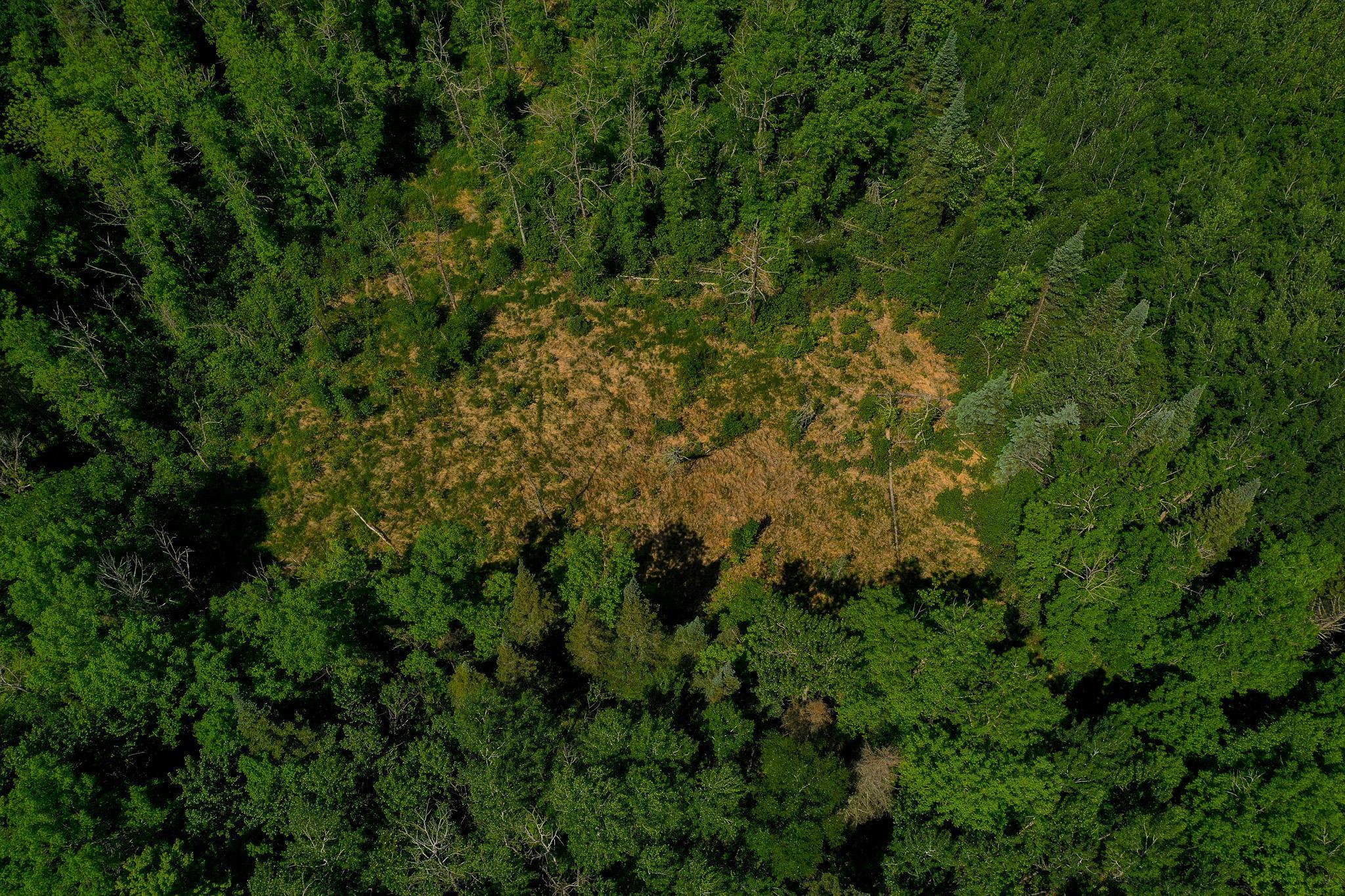 land for sale at TBD County Highway 47 in Osage, MN (photo 2 of 58)