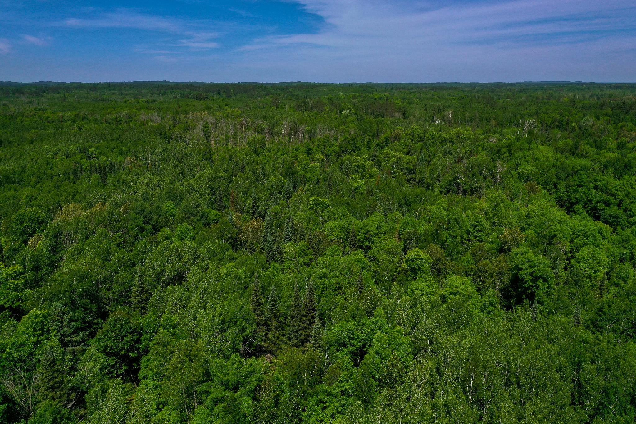 land for sale at TBD County Highway 47 in Osage, MN (photo 11 of 58)