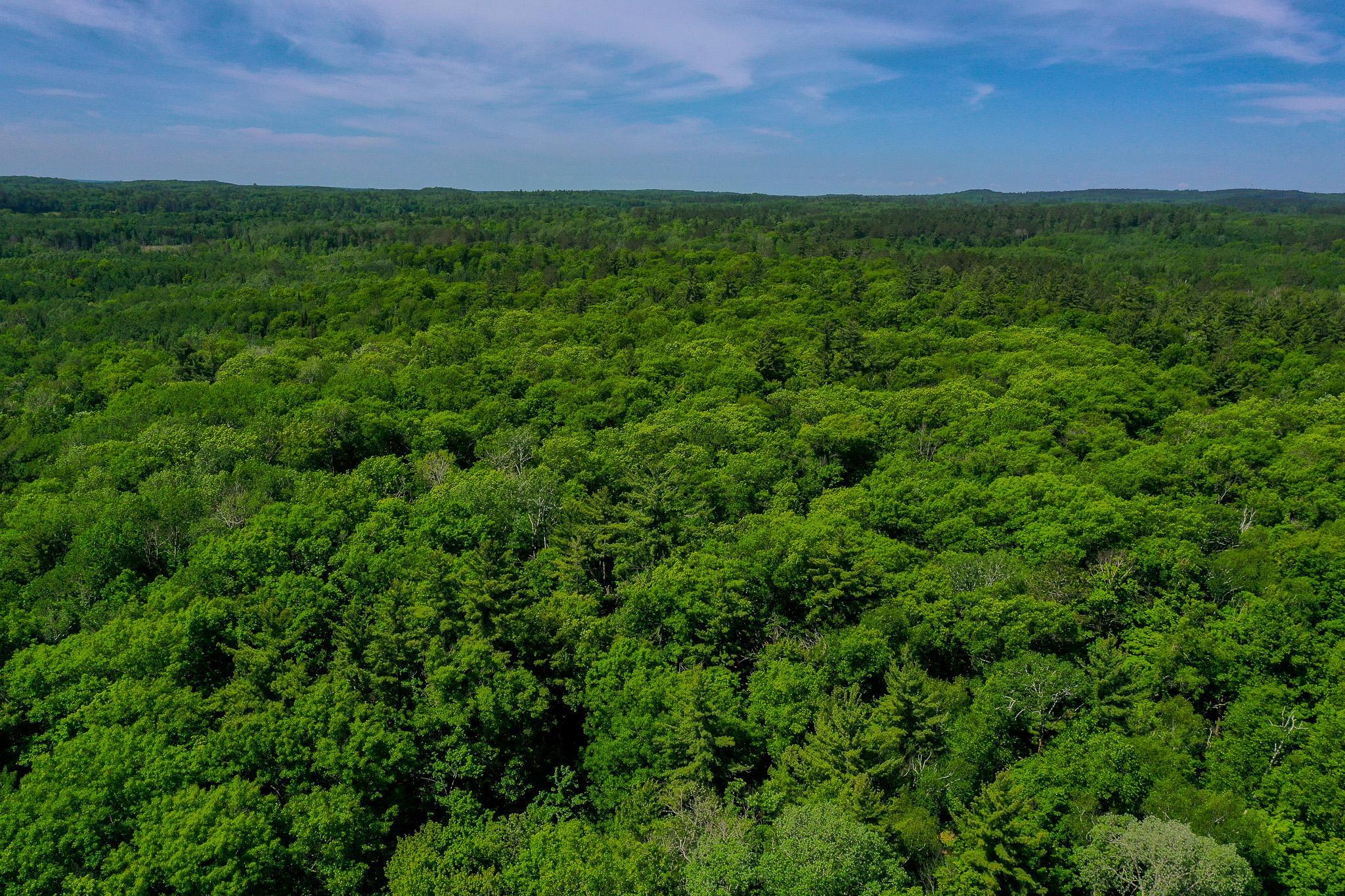land for sale at TBD County Highway 47 in Osage, MN (photo 12 of 58)