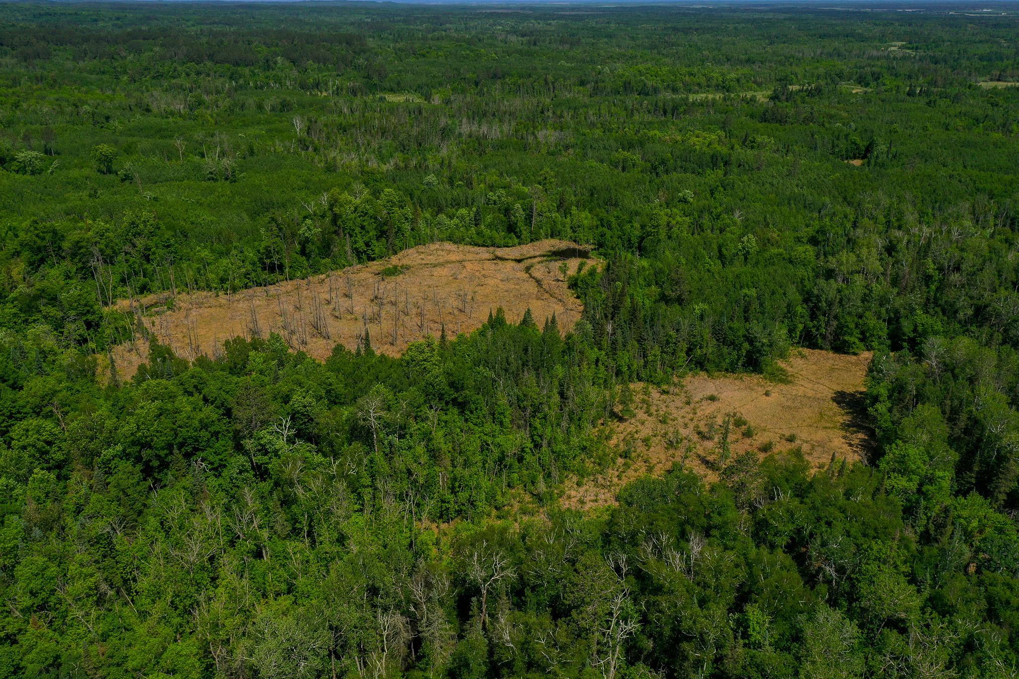 land for sale at TBD County Highway 47 in Osage, MN (photo 13 of 58)