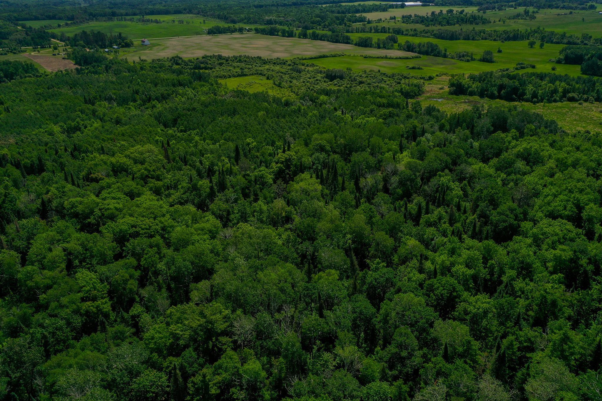 land for sale at TBD County Highway 47 in Osage, MN (photo 14 of 58)