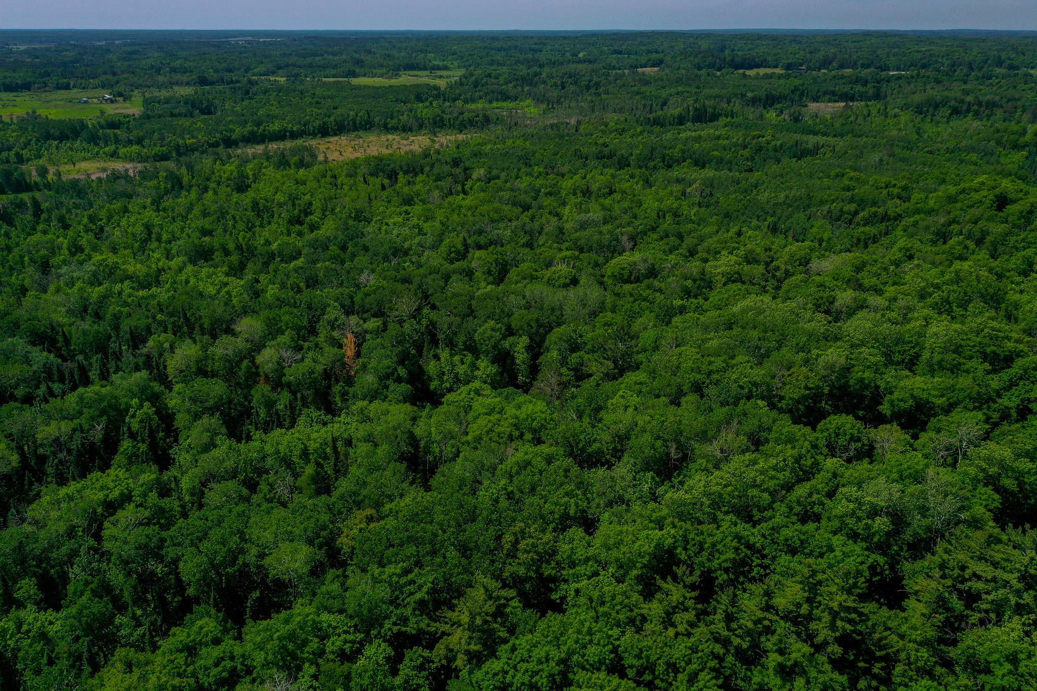 land for sale at TBD County Highway 47 in Osage, MN (photo 15 of 58)