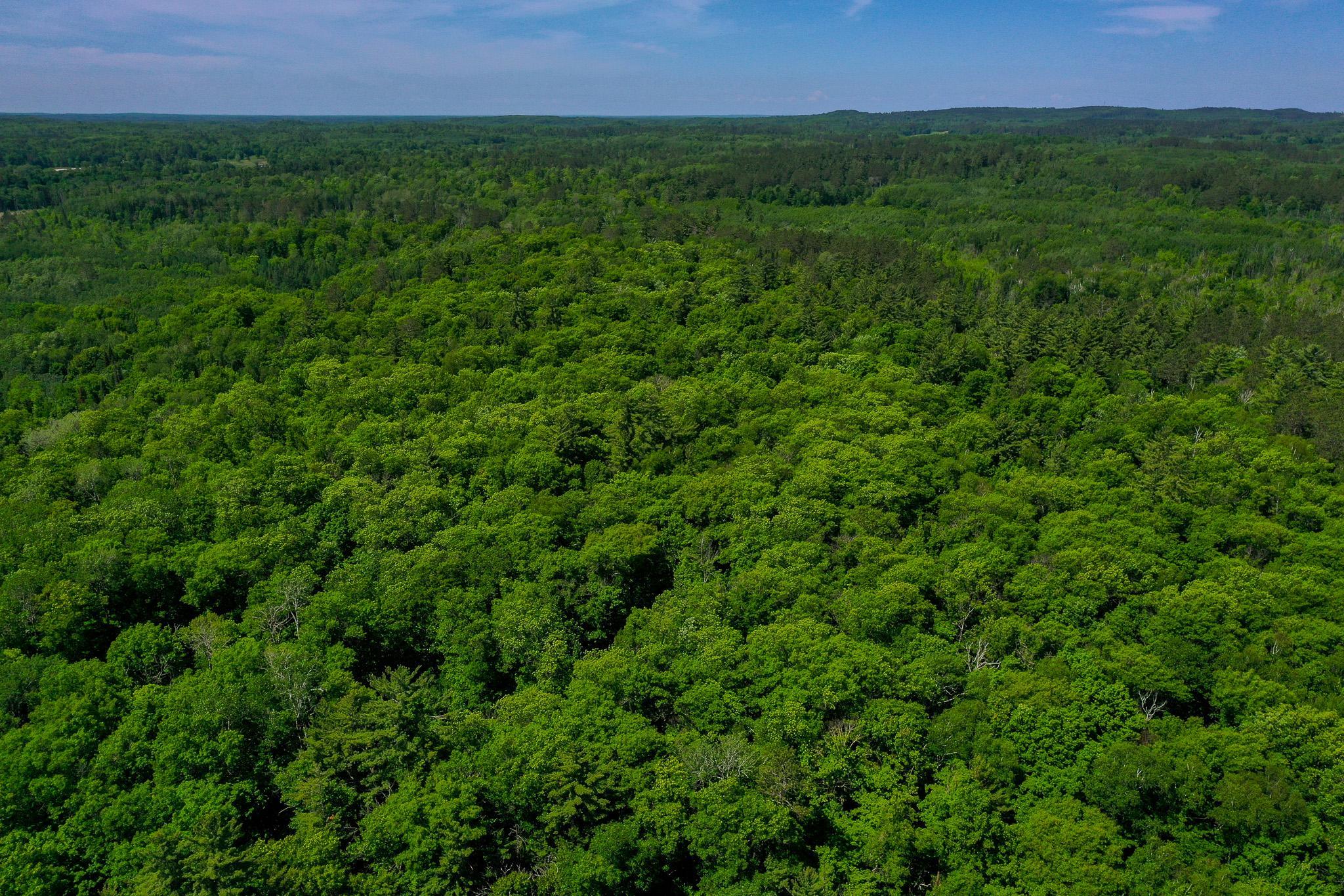 land for sale at TBD County Highway 47 in Osage, MN (photo 16 of 58)