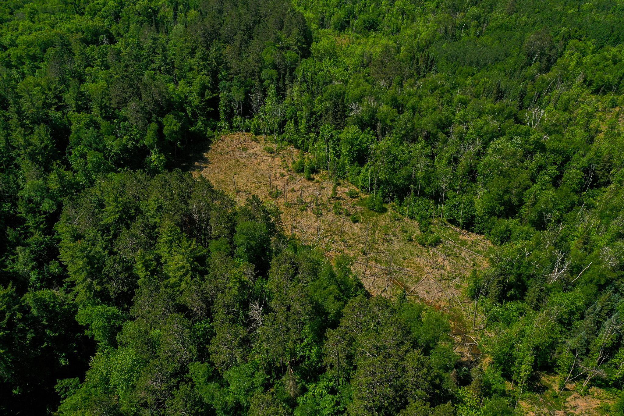 land for sale at TBD County Highway 47 in Osage, MN (photo 17 of 58)