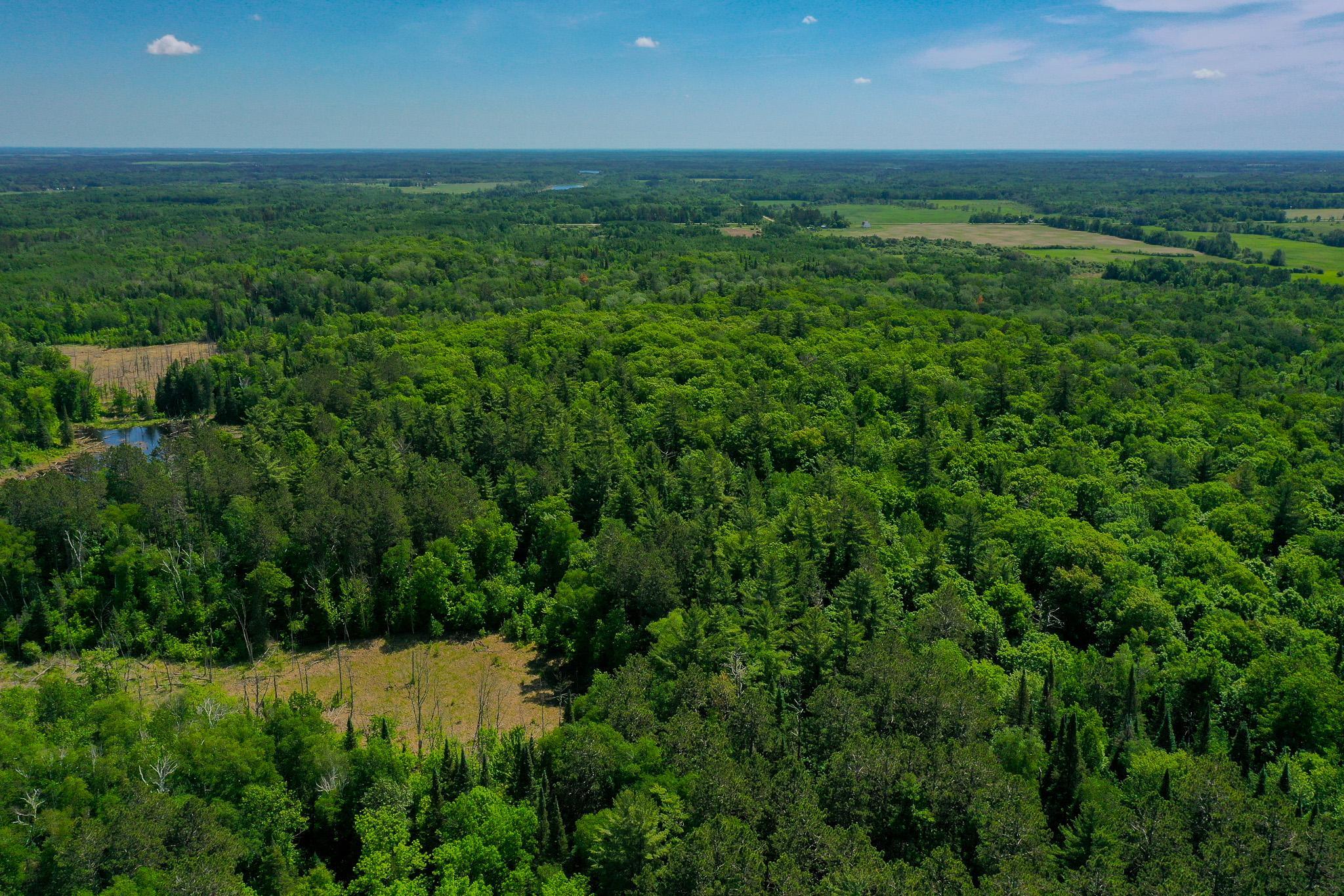land for sale at TBD County Highway 47 in Osage, MN (photo 18 of 58)