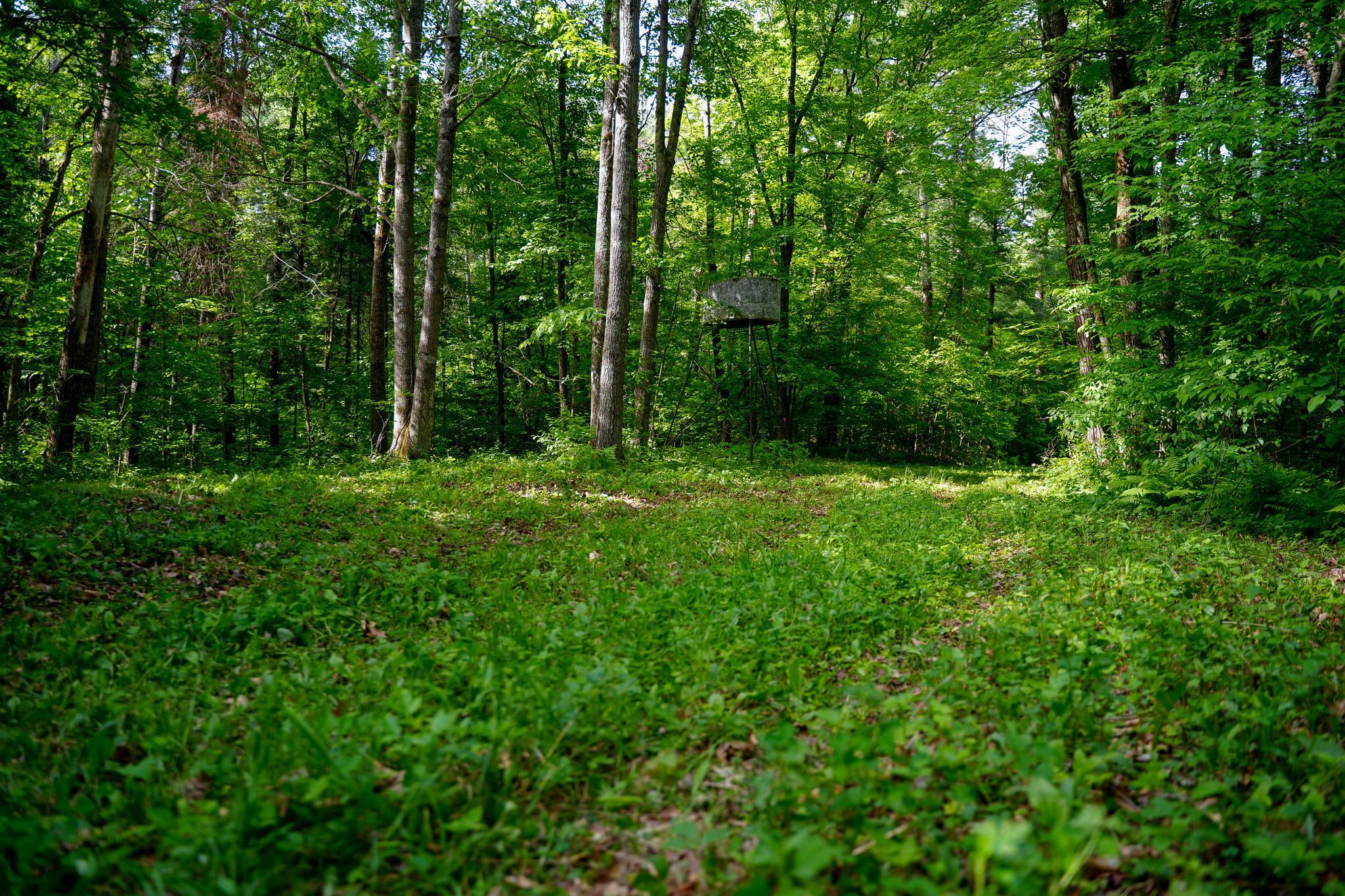 land for sale at TBD County Highway 47 in Osage, MN (photo 19 of 58)