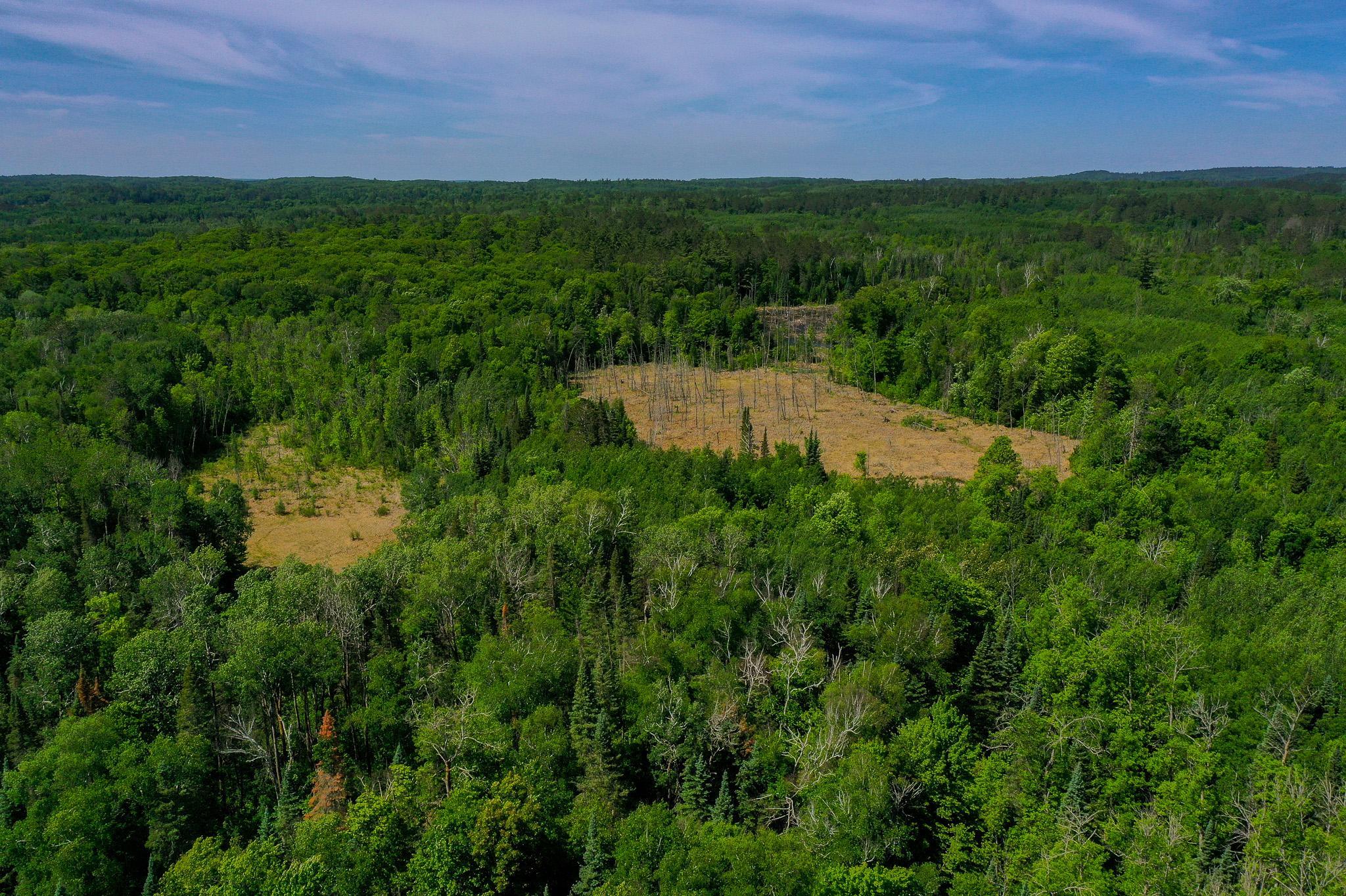 land for sale at TBD County Highway 47 in Osage, MN (photo 3 of 58)