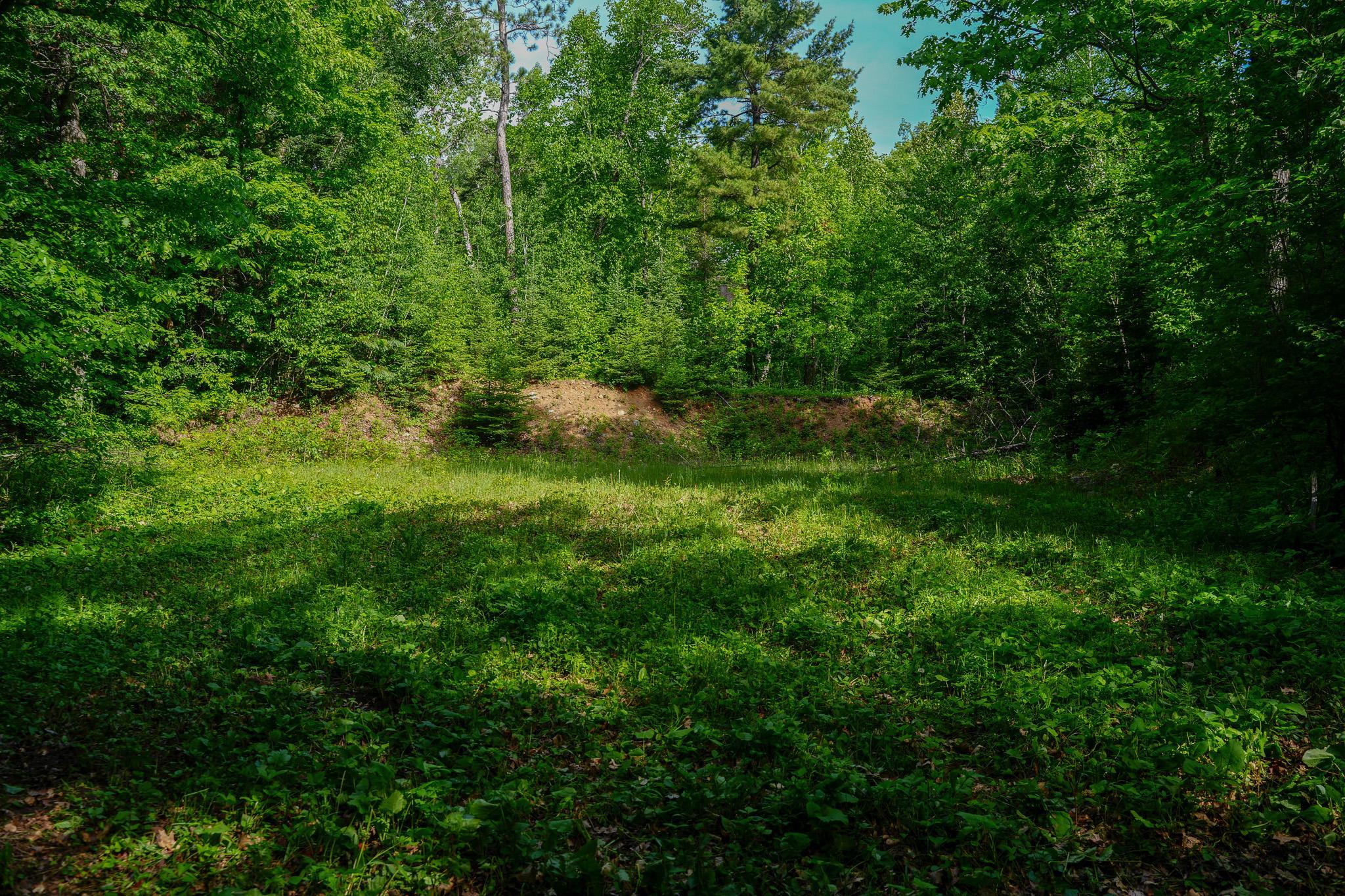 land for sale at TBD County Highway 47 in Osage, MN (photo 21 of 58)