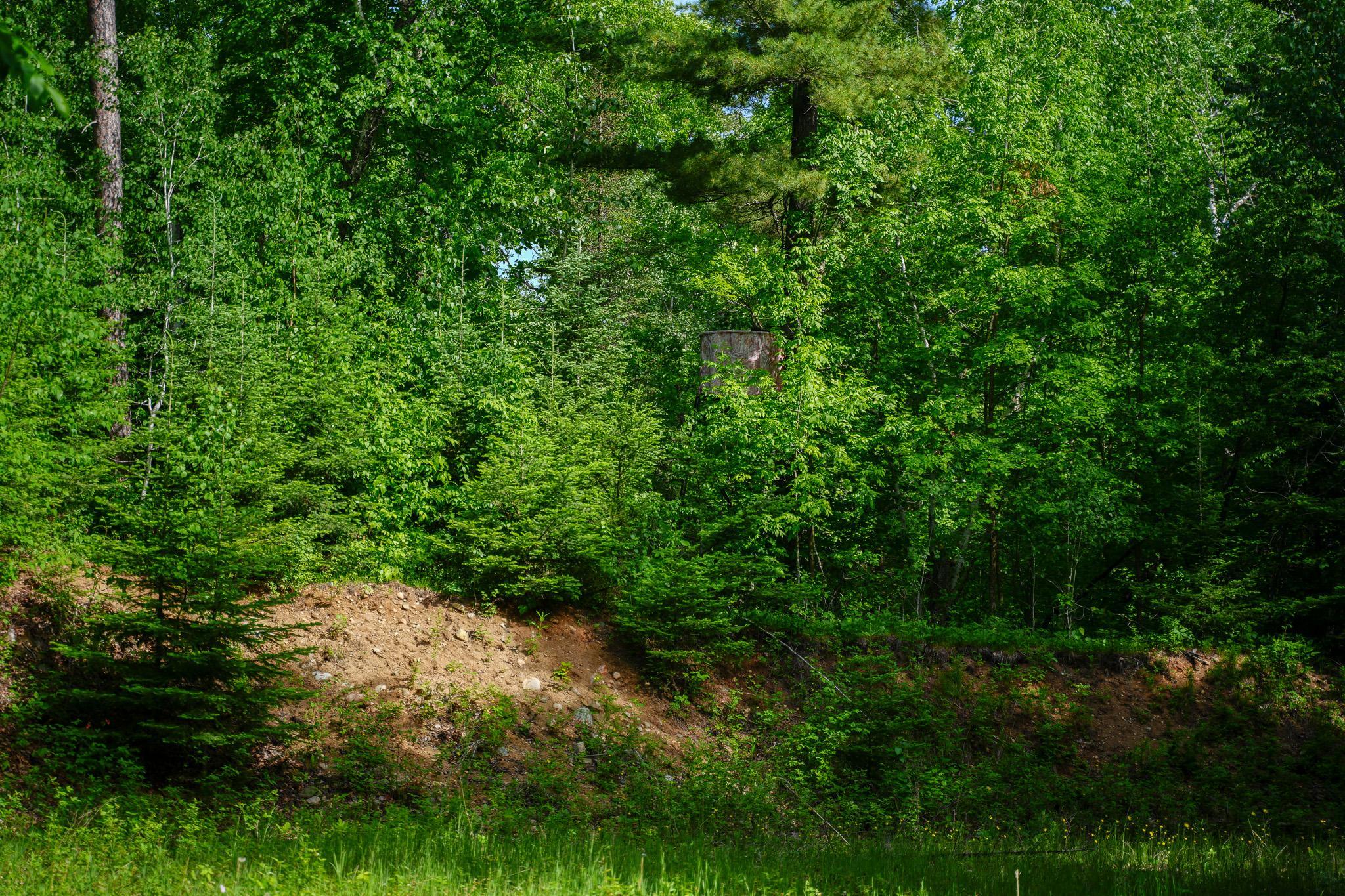 land for sale at TBD County Highway 47 in Osage, MN (photo 22 of 58)