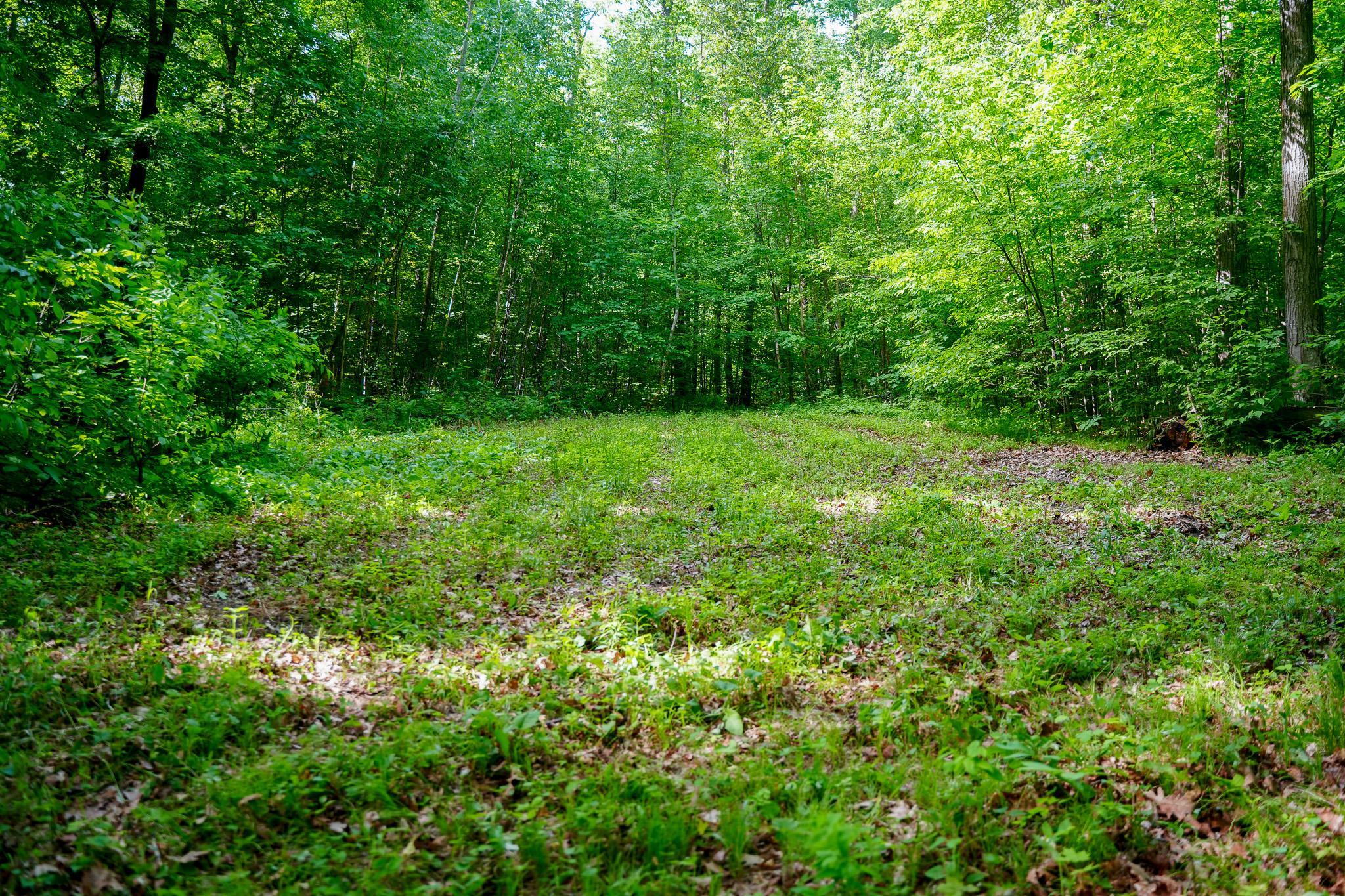 land for sale at TBD County Highway 47 in Osage, MN (photo 24 of 58)
