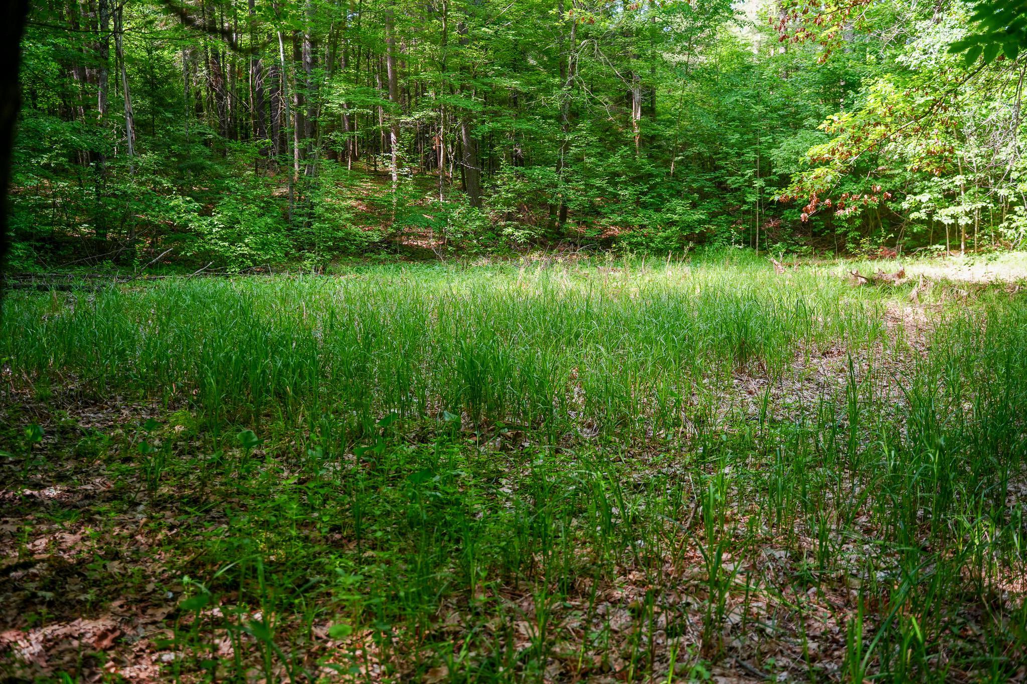land for sale at TBD County Highway 47 in Osage, MN (photo 26 of 58)