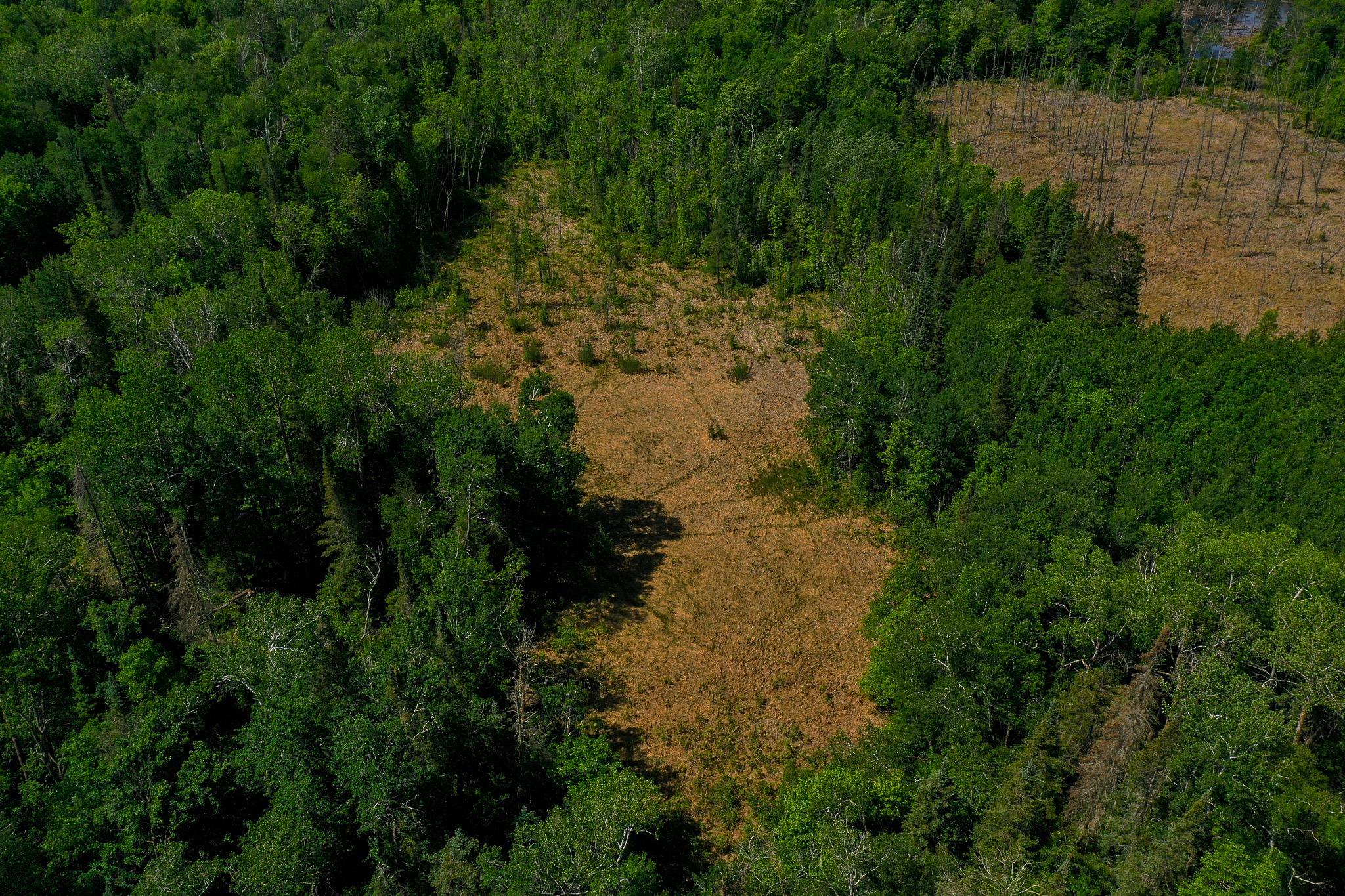 land for sale at TBD County Highway 47 in Osage, MN (photo 4 of 58)